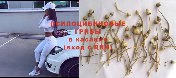 мдпв Нея
